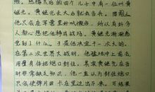 牡丹花的作文400字