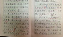 瞬间的感动的作文