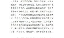 关于鸟奴的读后感