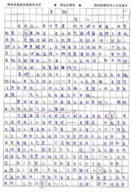 宽容辩论论文800字