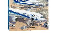 第一次坐飞机400字