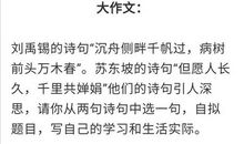 2015年高考满分作文浙江卷：我手写我心