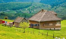 草原小木屋读后感