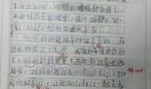 假如我是爸爸作文