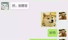 无尽的追问读后感
