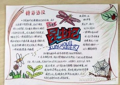 读完《昆虫》中的蜘蛛