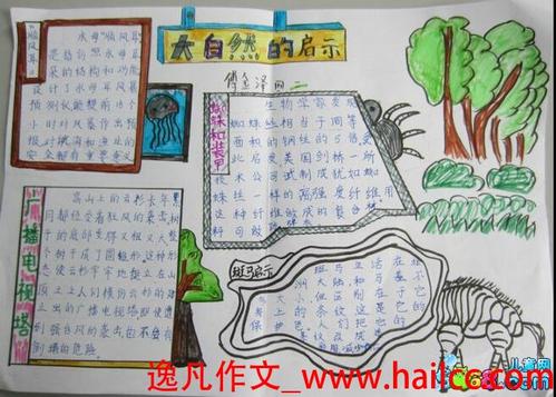 自然的启蒙小学组成