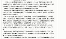 过新年作文300字