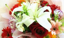 一束鲜花读后感