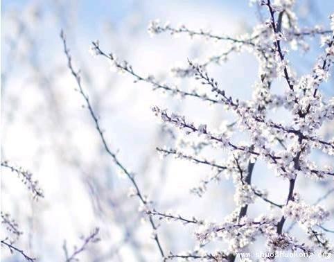 好心情经典句子