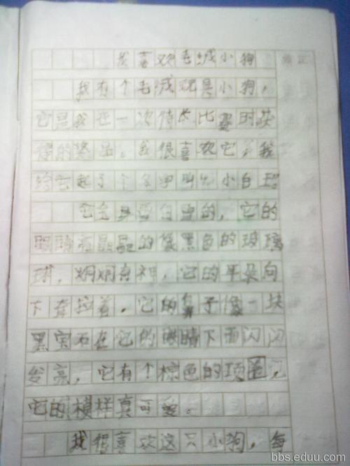 五感组成450字