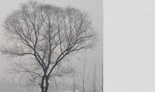 境由心生读后感