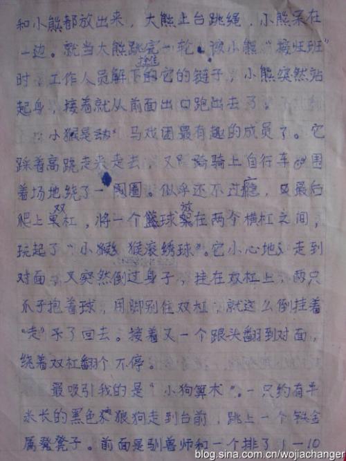 观看马戏团组成