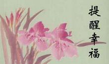 毕淑敏散文读后感500字