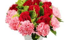 爱，是一颗心遇到另一颗心