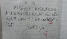 一年级周记大全