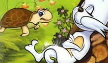 乌龟与兔读后感