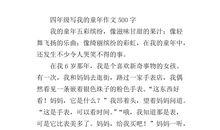 我的童年我做主作文