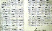 关于乐趣的作文