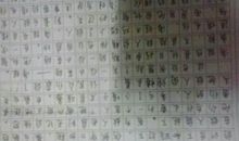 小兵张嘎观后感300字