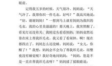 难忘的经历500字