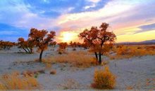 从生活中得到的启示