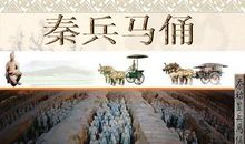 课文秦兵马俑读后感