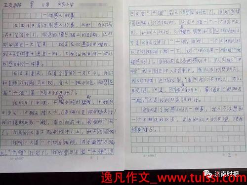 感动的小学生组成