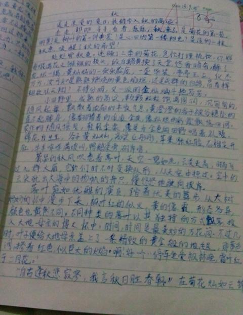 我这个季节有600个字