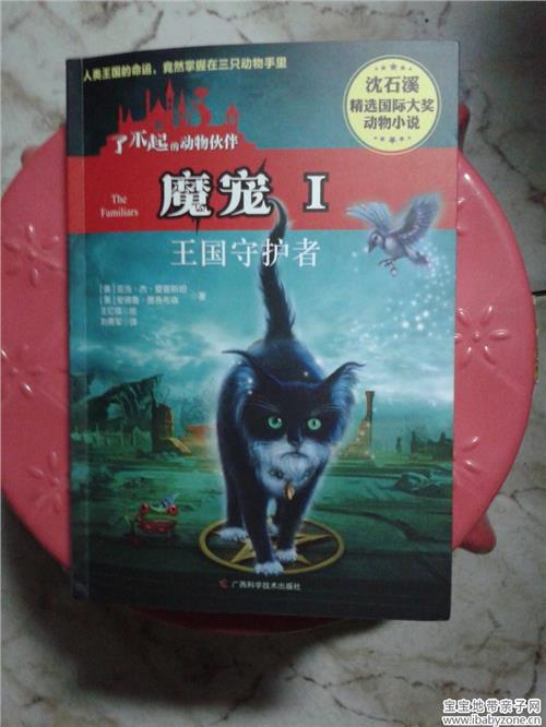 对沉世熙作品的思考