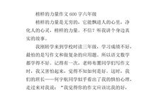 前行的力量作文