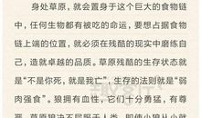 狼图腾读后感范文