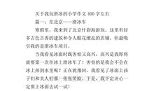 关于买菜的作文400字