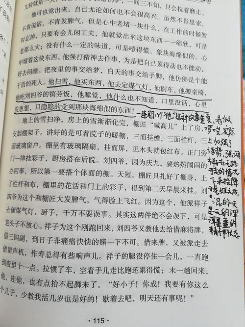 读《湘子骆驼》三百字