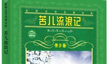 苦儿流浪记的读后感