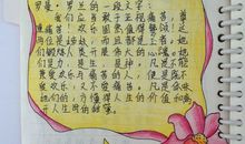 小学生读后感言