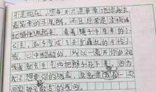 妈妈流泪了作文