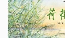 荷花淀读后感600字