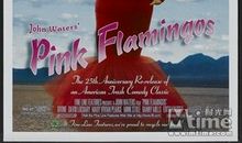 红色革命电影观后感