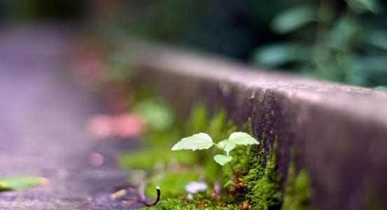 经典语录：岁月沉寂，我真的想和你一起变老