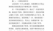 难忘的经历600字