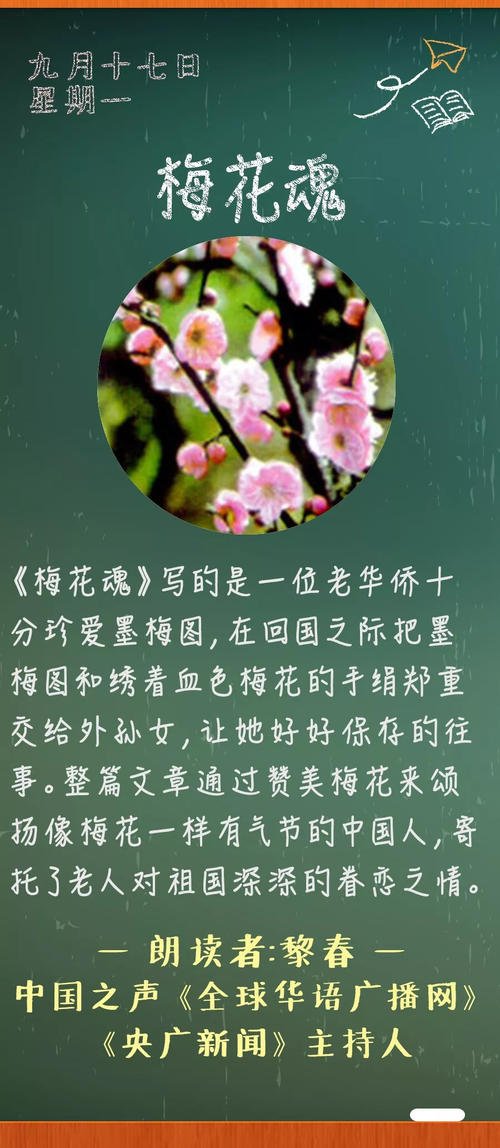 看完梅花的灵魂