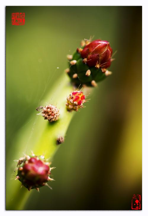 关于缩影的思考