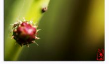 微观世界观后感