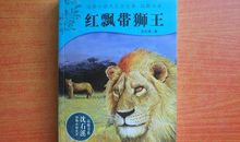 红飘带狮王读后感
