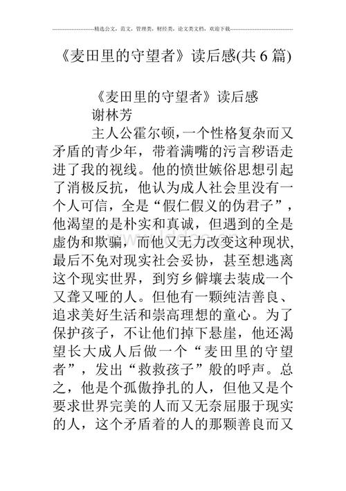 麦田里的守望者读后感英文