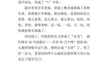 买年货作文800字