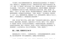 妈妈我爱你作文300字