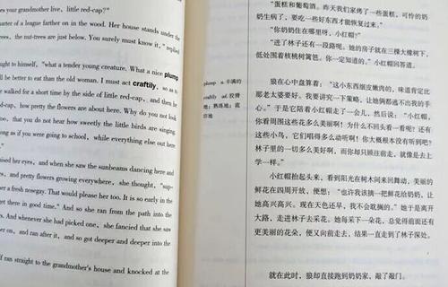 黑骏马读后感英文