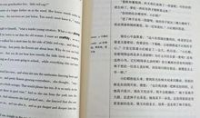 黑骏马读后感英文